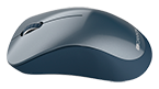 Canyon 2.4 GHz Wireless mouse ,with 3 buttons, DPI 1200, CNE-CMSW11BL 